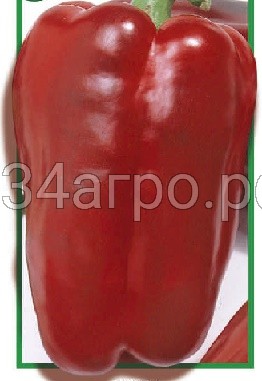Купить семена Перец сладкий Ред Носера F1 10 гр в Самаре c доставкой поРоссии - «АгроОнлайн»